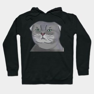 Suspicious kitty Hoodie